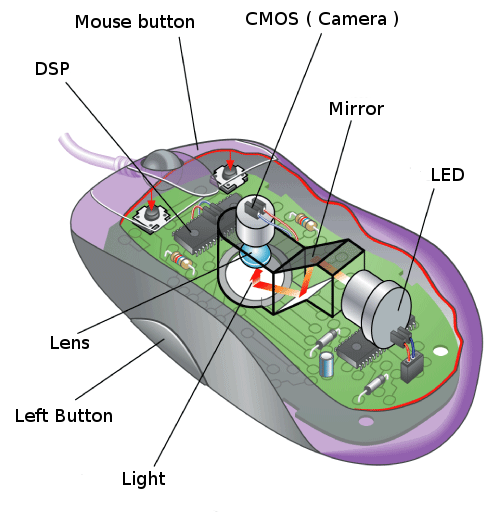 mouse parts