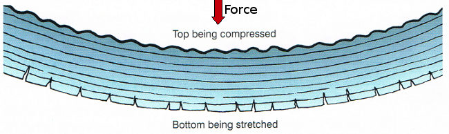 forces in a beam