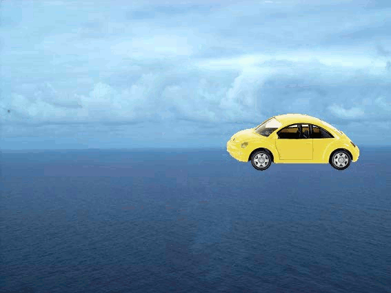 yellow beetle moving along  the sea