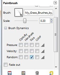 brush dynamic