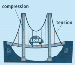 compression forces