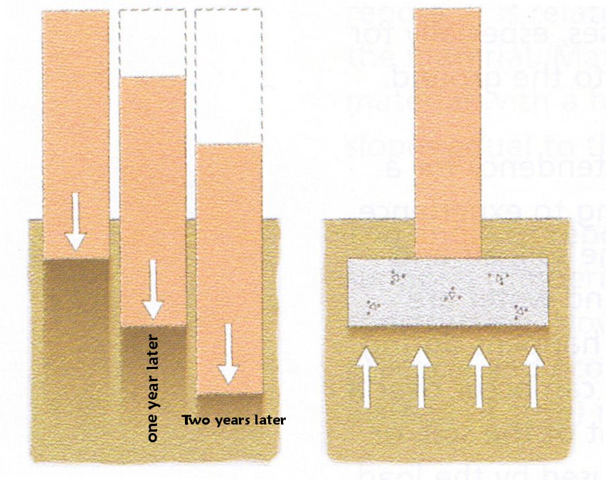 columns and foundations